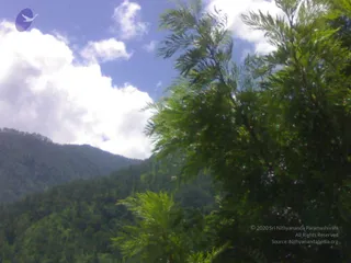 01072008274_CMP_WM