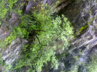 02072008285_CMP_WM