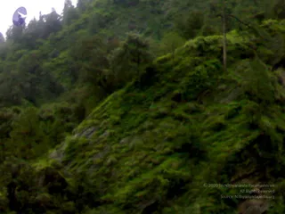 02072008290_CMP_WM