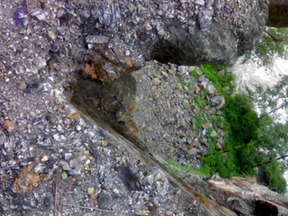 02072008295_CMP_WM