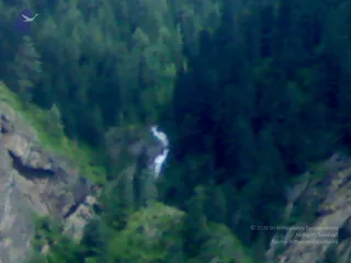 02072008299_CMP_WM
