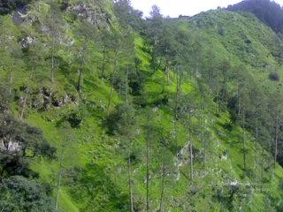02072008303_CMP_WM
