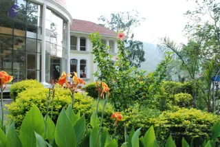 DSC_0113_CMP_WM