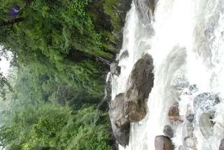 July 06 2008