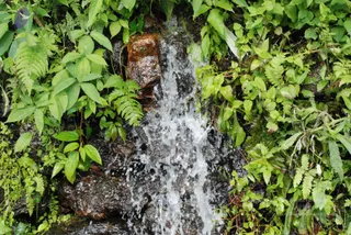 DSC_0284_CMP_WM