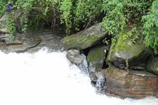 DSC_0768_CMP_WM
