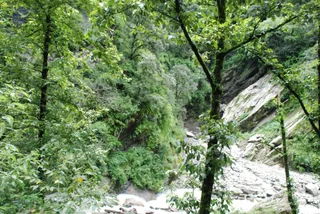DSC_0361_CMP_WM