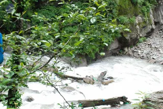 July 06 2008