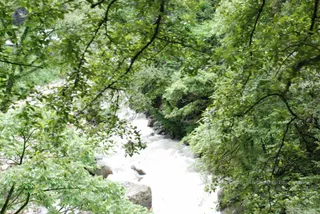 DSC_0391_CMP_WM