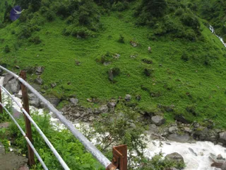 July 06 2008