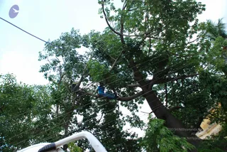 20080609_Photo_1071_DSC_0118_CMP_WM