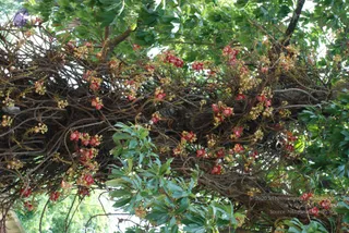 June 09 2008