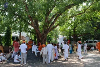 June 09 2008