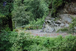 DSC_0630_CMP_WM