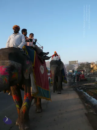 1-Himalaya-Yatra_Photo_1005_P1090092_CMP_WM