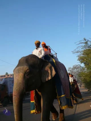 1-Himalaya-Yatra_Photo_1006_P1090095_CMP_WM