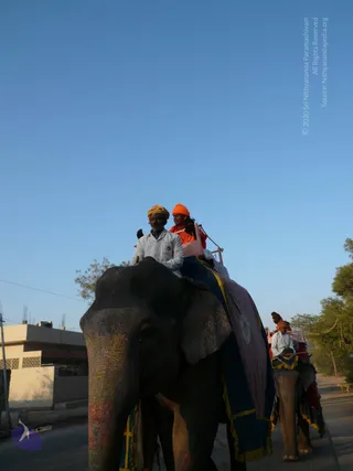 1-Himalaya-Yatra_Photo_1007_P1090097_CMP_WM