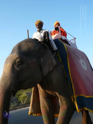 1-Himalaya-Yatra_Photo_1009_P1090101_CMP_WM