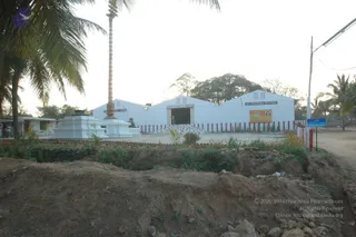 January Ni 2008