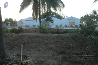 January Ni 2008