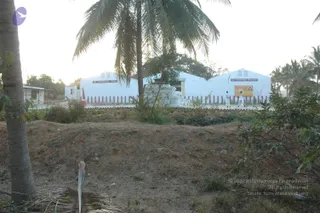 January Ni 2008