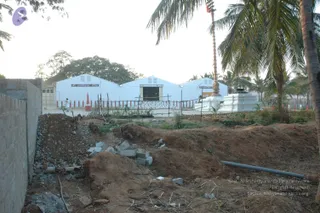 January Ni 2008