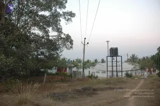 January Ni 2008