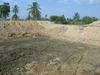 May 14 2008