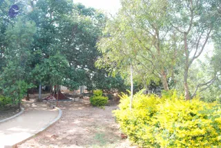 November 05 2008