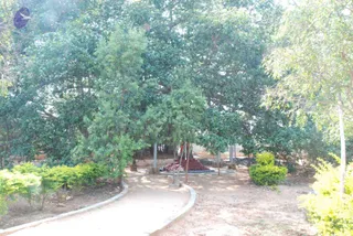 November 05 2008