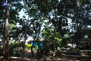 DSC_0315_CMP_WM