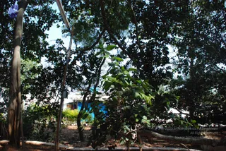 DSC_0316_CMP_WM