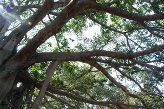 November 05 2008