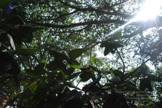 DSC_0397_CMP_WM