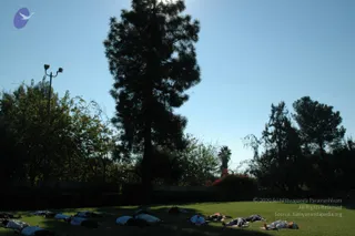 November AF 2008