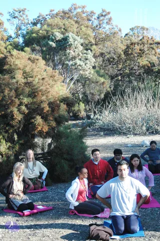 November AF 2008