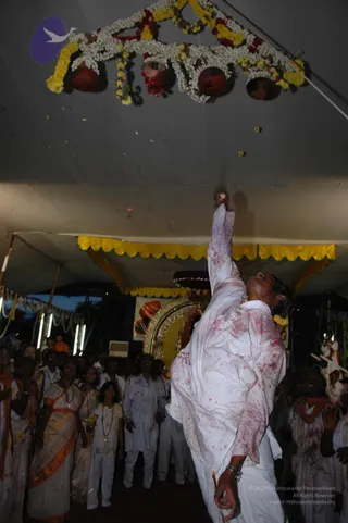 DSC_5563_CMP_WM
