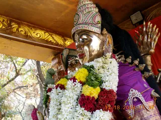 20081118_DSCN697201