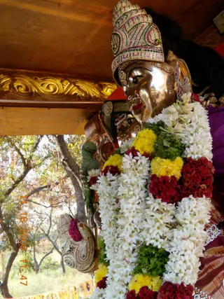 20081118_DSCN697301