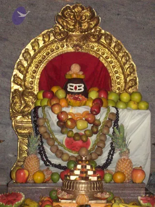 2008-PROGRAMS-AND-EVENTS-AT-KAILAASA-IN-HYDERABAD
