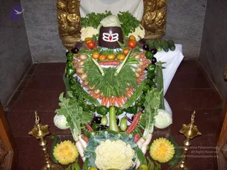 2008-PROGRAMS-AND-EVENTS-AT-KAILAASA-IN-HYDERABAD