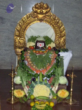 2008-PROGRAMS-AND-EVENTS-AT-KAILAASA-IN-HYDERABAD