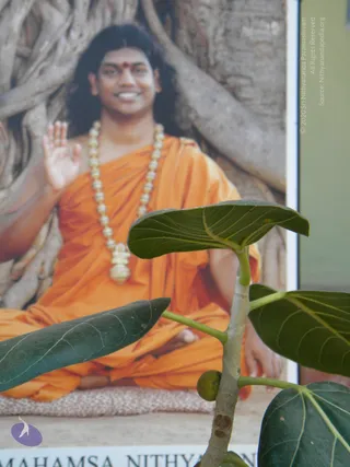 2009-Activities-and-Events-at-Kailaasa-SriPuram-Sarvajnapeeta-Hyderabad