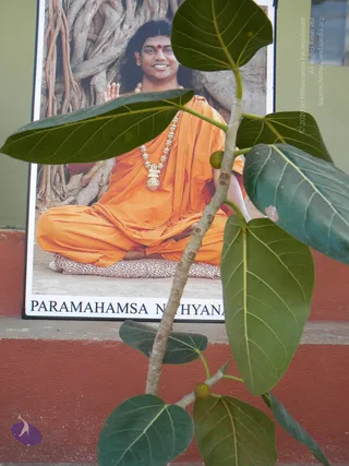 2009-Activities-and-Events-at-Kailaasa-SriPuram-Sarvajnapeeta-Hyderabad