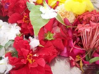 2009-Activities-and-Events-at-Kailaasa-SriPuram-Sarvajnapeeta-Hyderabad