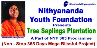 2009-GLIMPSES-OF-NYF-365-DEGREE-EVENT-PHOTOS