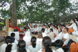 A photograph of an outdoor satsang under a large banyan tree. A person in a red garment sits on an ornate golden throne-like seat at left, with a microphone in front of them. Around them sit a large seated audience of mostly white-clad devotees, many wearing yellow-and-white lanyards, with a few in orange or saffron. A woman in a white T-shirt reading YOGA is prominent in the foreground, and a camera on a tripod is visible at right. Gnarled banyan branches and foliage fill the background.