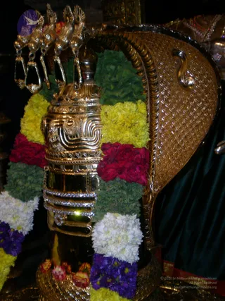 2009-GLIMPSES-OF-VARIOUS-EVENTS