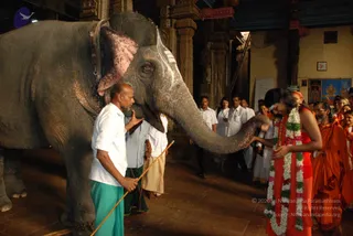 2009-GLIMPSES-OF-VARIOUS-EVENTS