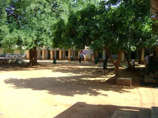 2009-Glimpses-of-Nithyananda-Youth-Foundation-Activities